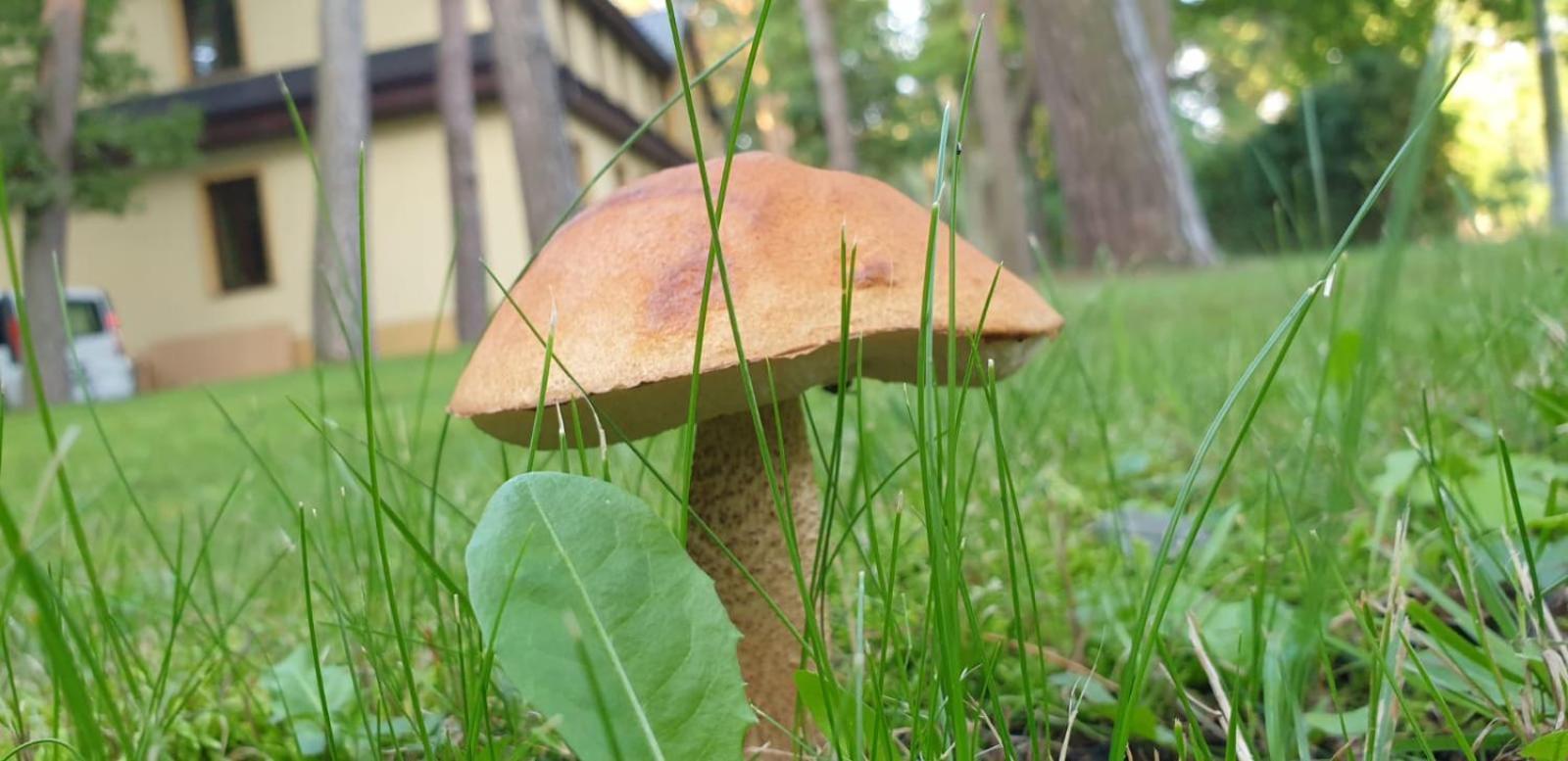 Villa Toskana Pogorzelica  Bagian luar foto