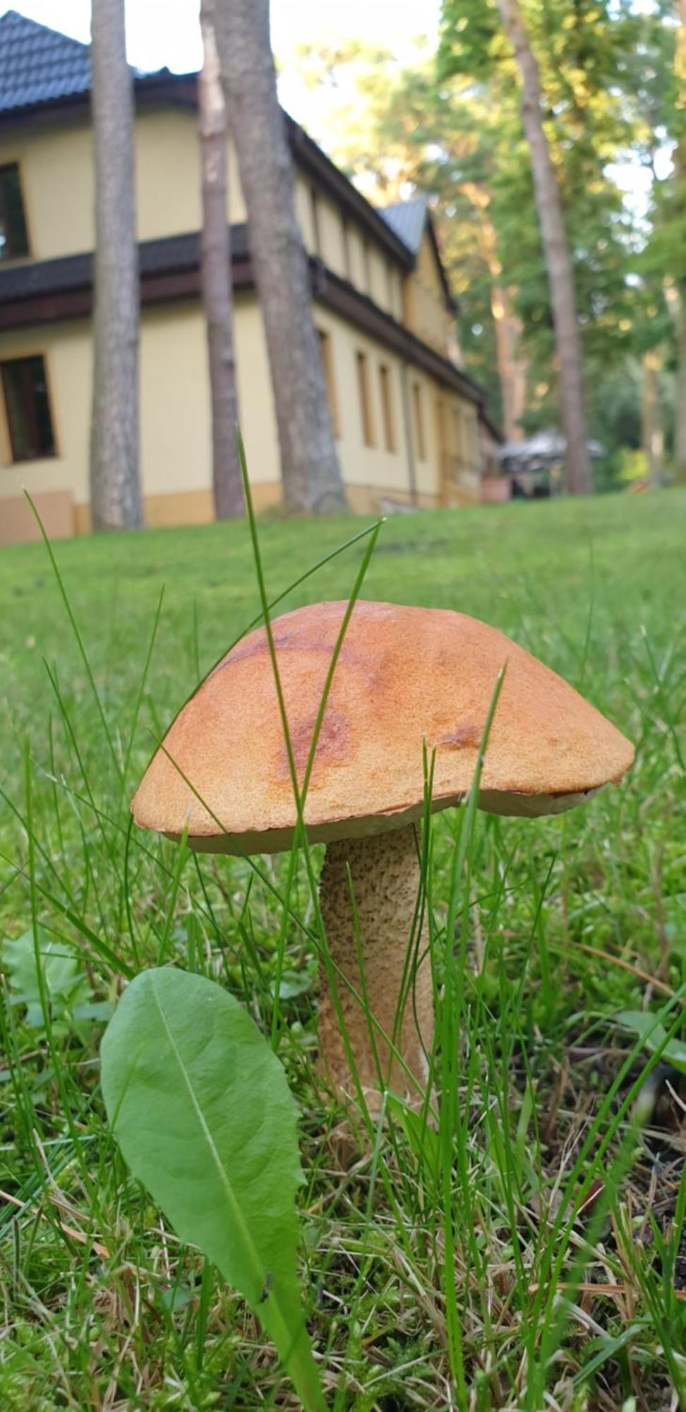 Villa Toskana Pogorzelica  Bagian luar foto