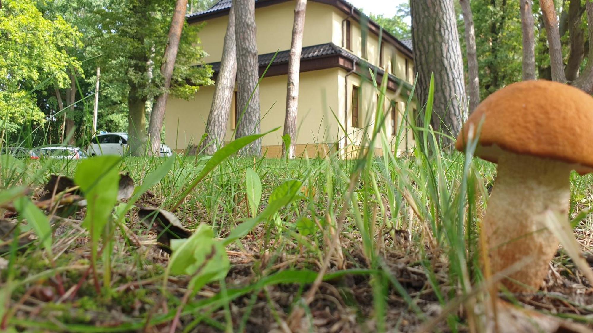 Villa Toskana Pogorzelica  Bagian luar foto